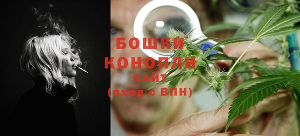 сатива Белокуриха