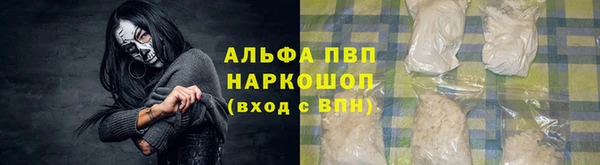 сатива Белокуриха