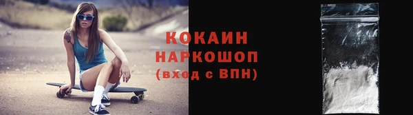 индика Богородицк