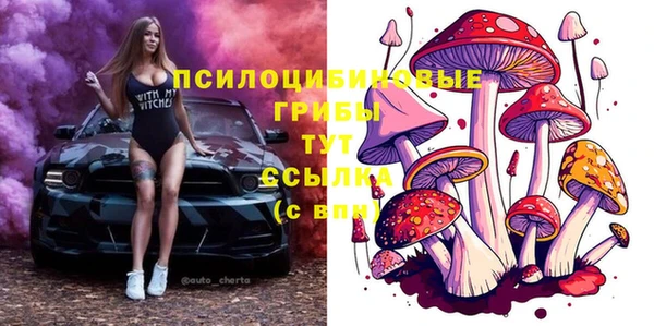 МДПВ Богданович