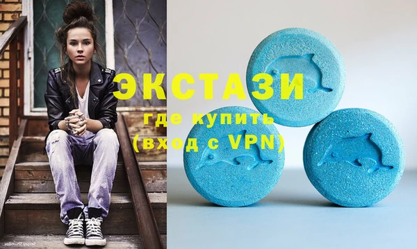 индика Богородицк