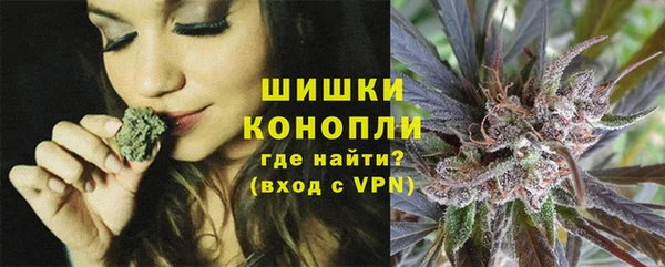 индика Богородицк
