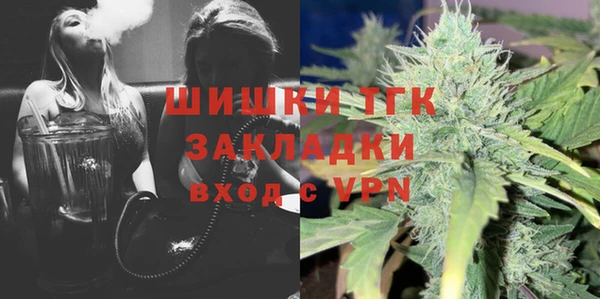 индика Богородицк