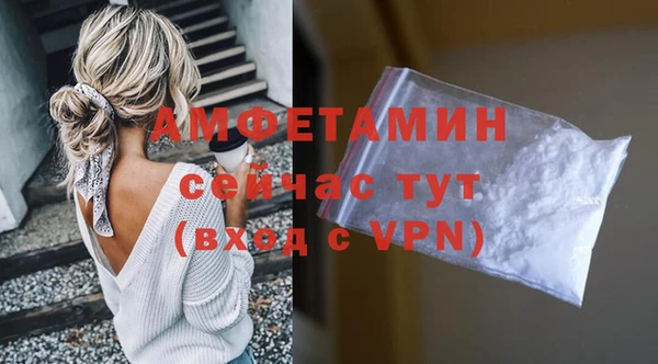 индика Богородицк