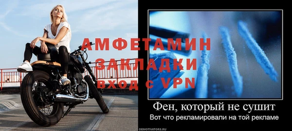 индика Богородицк