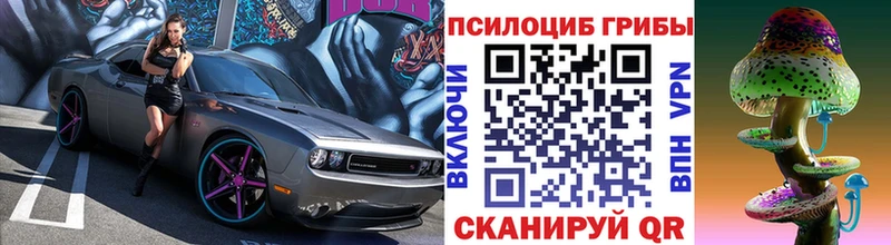 где купить наркоту  Высоковск  Галлюциногенные грибы Psilocybine cubensis 